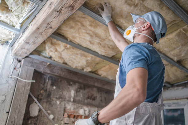 Best Residential Insulation Services  in Taylorsville, UT