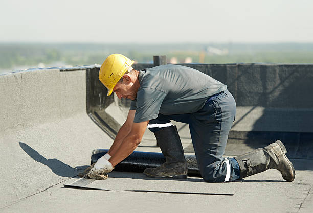 Best Insulation Removal  in Taylorsville, UT