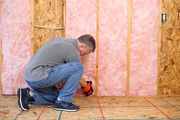 Best Insulation for New Construction  in Taylorsville, UT