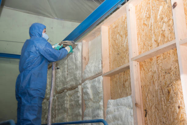 Best Cellulose Insulation  in Taylorsville, UT