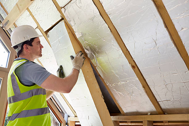 Insulation Inspection Services in Taylorsville, UT