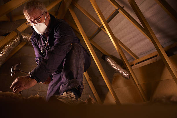 Best Fiberglass Insulation  in Taylorsville, UT